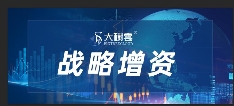 大树云控股集团完成战略增资，加速中国个护产业整合